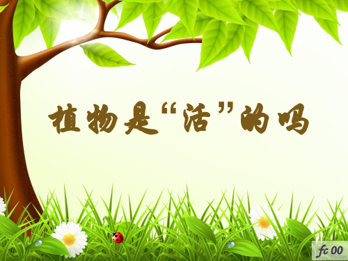 一年级上册科学课件-1.5植物是活的吗 (3) l  教科版 (共14张PPT)