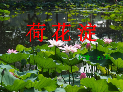 高中语文《荷花淀》课件 鲁教版必修2