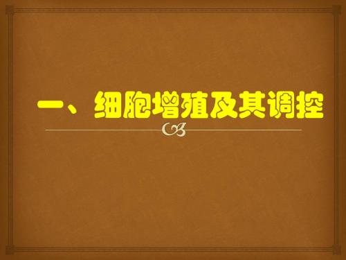 细胞生命历程