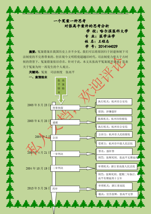 张高平案件的思考分析