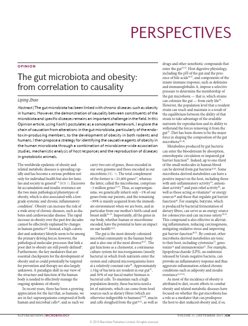 The gut microbiota and obesity from correlation to causality