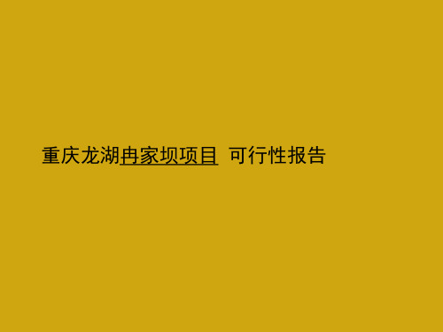 【精品】龙湖重庆冉家坝项目可行性分析