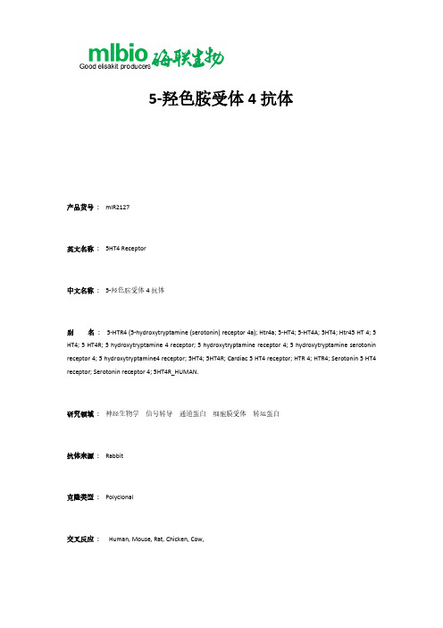 5-羟色胺受体4抗体
