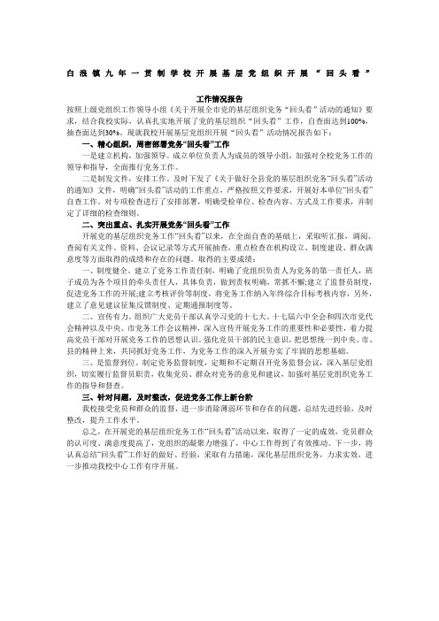开展基层党组织开展“回头看”工作情况报告