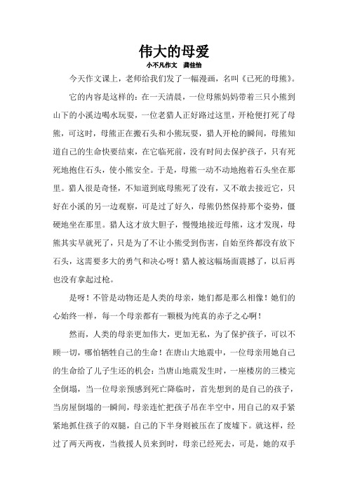 看图说话《已死的母熊》