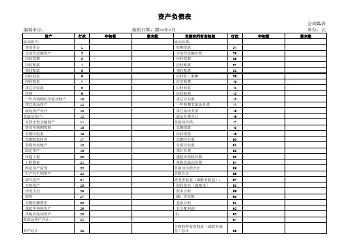 通用版-空白资产负债表及利润表