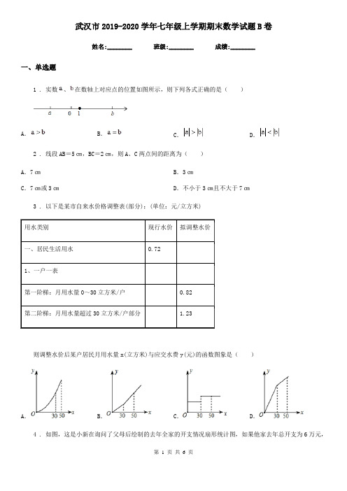 武汉市2019-2020学年七年级上学期期末数学试题B卷