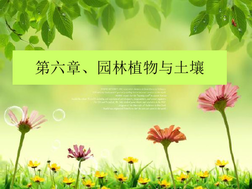 园林植物与土壤(教学课件)
