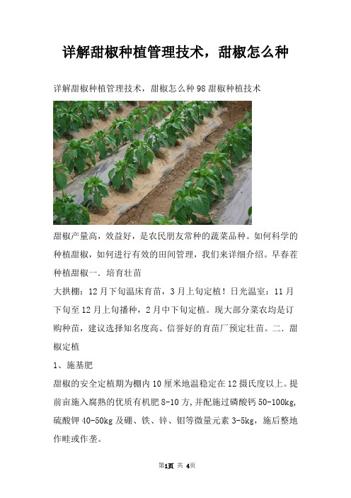 详解甜椒种植管理技术，甜椒怎么种
