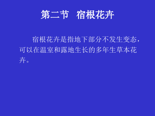 花卉学课件2