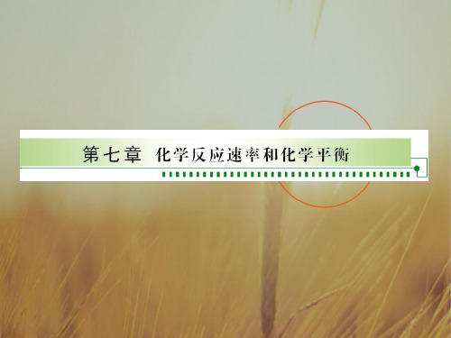 最新-2018年高考化学 化学反应速率和化学平衡复习课件 精品 
