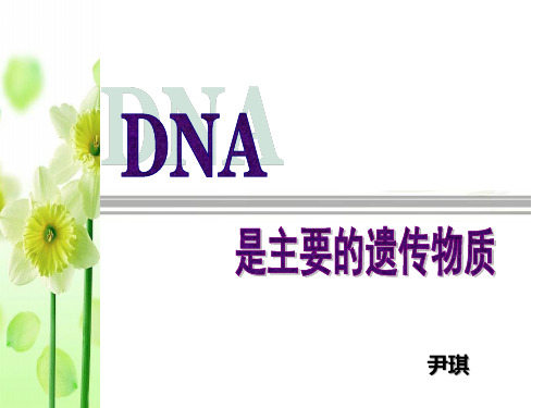 DNA是主要的遗传物质(一轮复习)