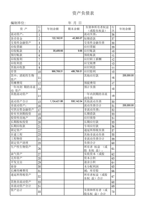 2013年资产负债表 利润表2007