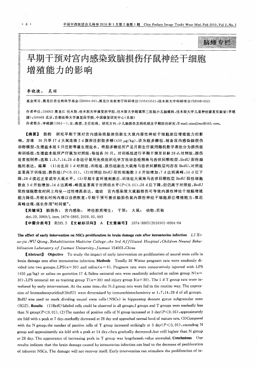 早期干预对宫内感染致脑损伤仔鼠神经干细胞增殖能力的影响