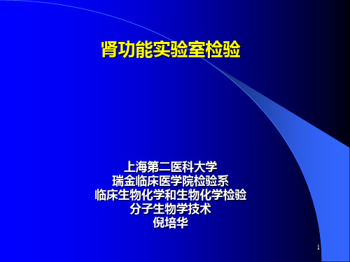 肾功能实验室检验