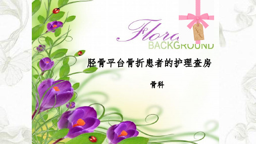 胫骨平台骨折的护理PPT课件