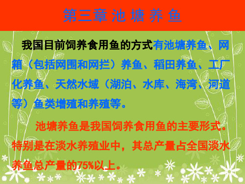 《池塘养鱼知识》PPT课件