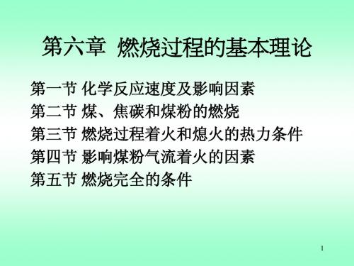 第六章 燃烧过程的基本理论