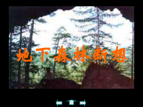 地下森林断想