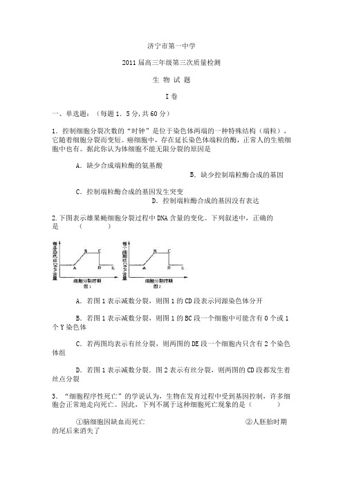 2011届高三年级第三次质量检测 生物试题