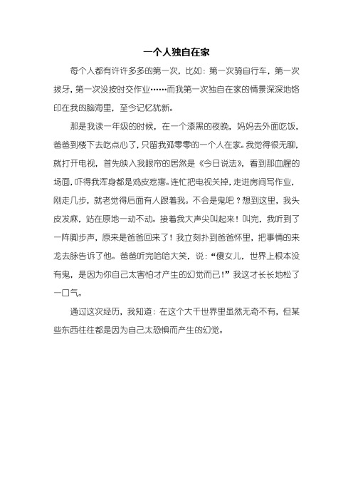 四年级作文：一个人独自在家作文400字