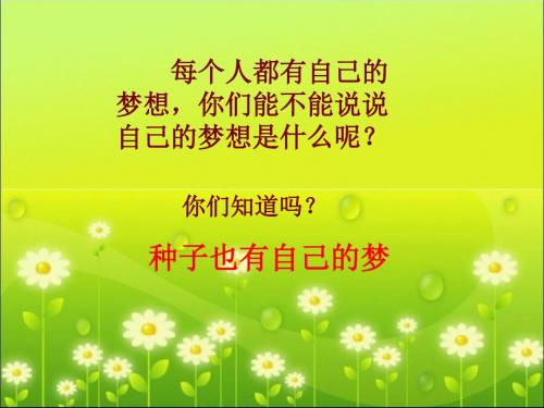 《种子的梦》终极版