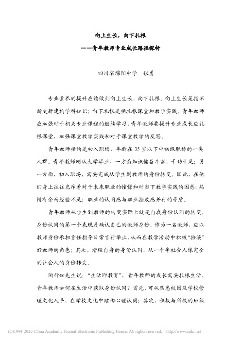 青年教师专业成长路径探析