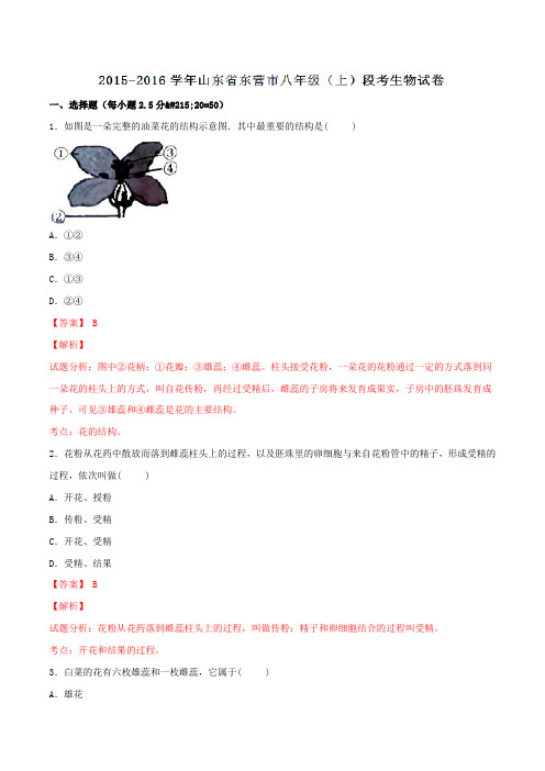 山东省东营市2015-2016学年八年级上学期段考生物试题解析(解析版)