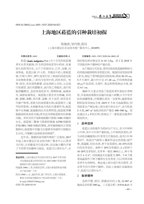 上海地区菘蓝的引种栽培初探