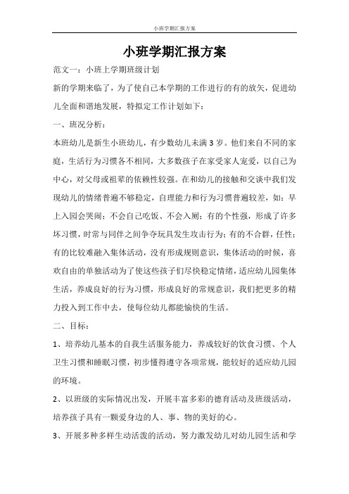 活动方案 小班学期汇报方案