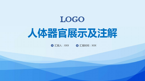 2021年人体器官组织解剖ppt