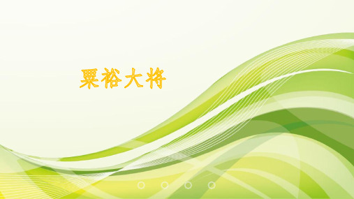 粟裕大将