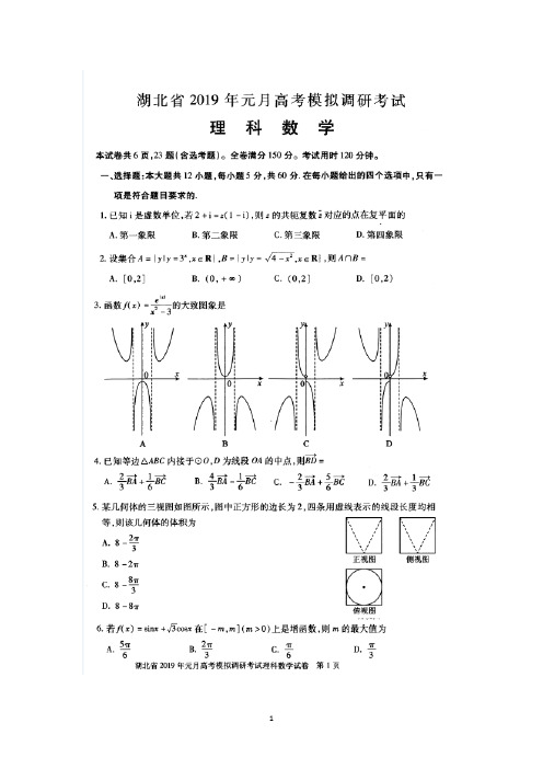 湖北省2019届高三元月高考模拟调研统一考试数学(理)试卷 扫描版含答案