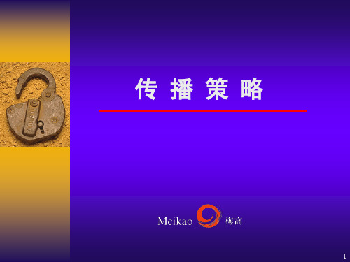 传播策略-梅高