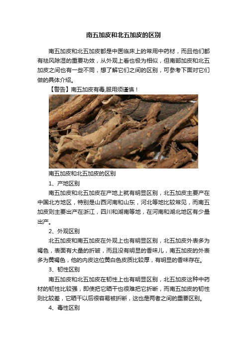 南五加皮和北五加皮的区别