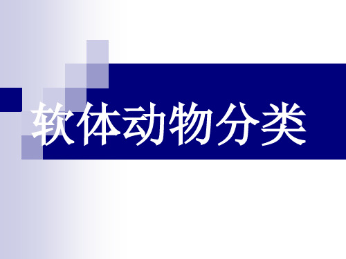 软体动物分类