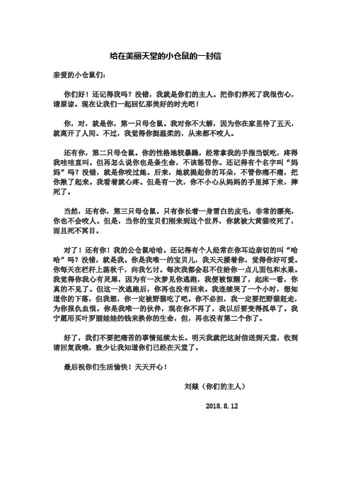 给在美丽天堂的小仓鼠的一封信