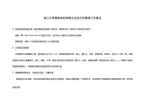 进口月季裸根苗的种植方法及月份管理工作要点王德哲