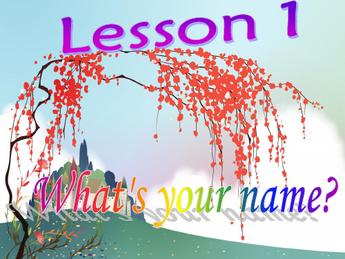 L1第五课时语法：问“名字”,“年龄”的特问句