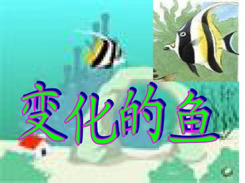 变化的鱼