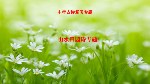 中考古诗复习专题之山水田园诗专题