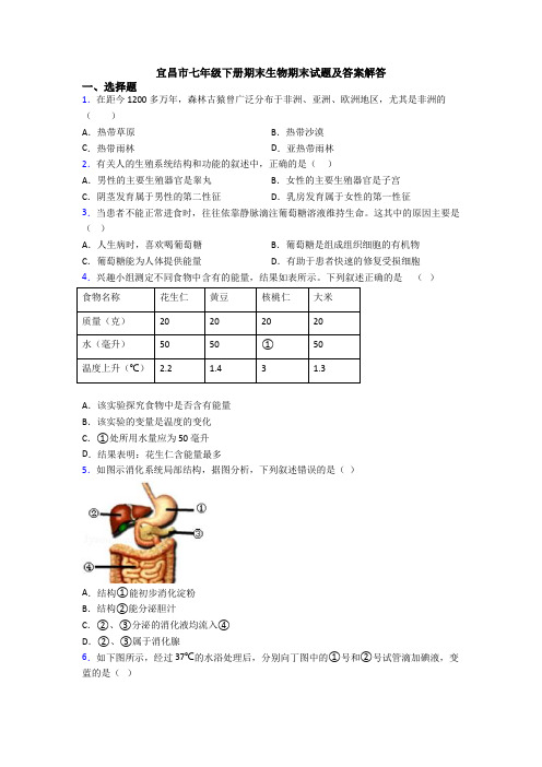 宜昌市七年级下册期末生物期末试题及答案解答