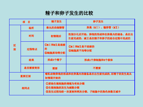 精子和卵子发生的比较