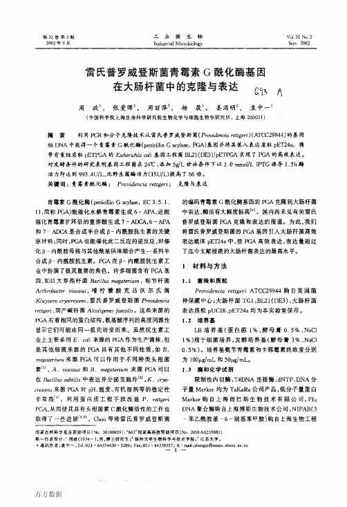 雷氏普罗威登斯菌青霉素G酰化酶基因在大肠杆菌中的克隆与表达