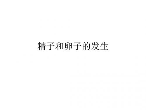 3.1.1 精子和卵子的发生