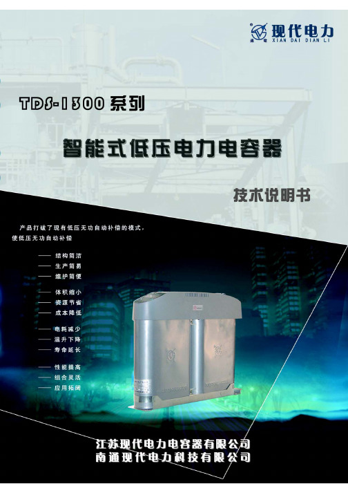 TDS93系列智能式低压电力电容器技术说明书