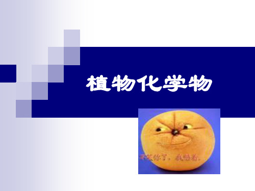植物化学物 ppt课件