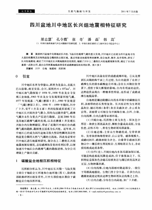 四川盆地川中地区长兴组地震相特征研究
