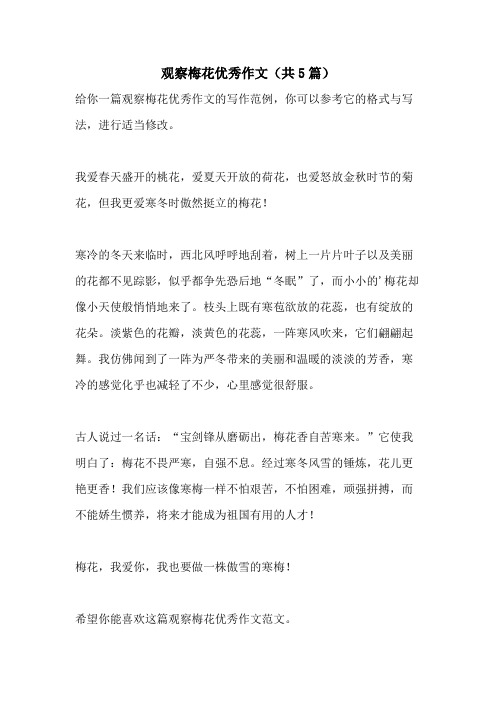 观察梅花优秀作文(共5篇)