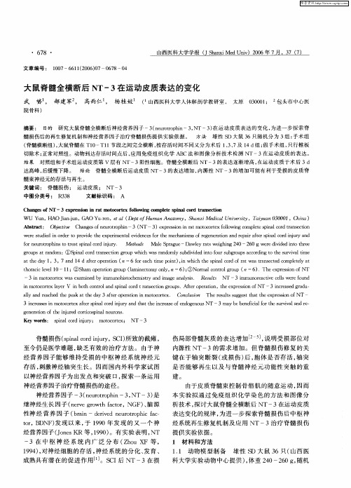 大鼠脊髓全横断后NT-3在运动皮质表达的变化